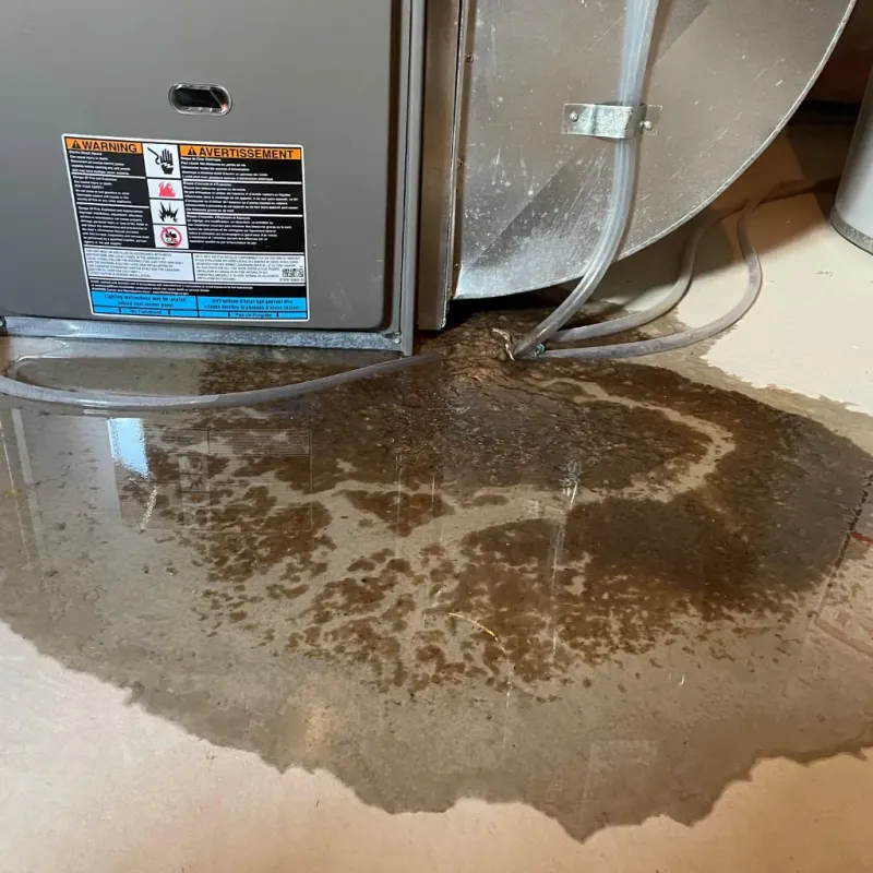 Appliance Leak Cleanup in Farmersville, CA